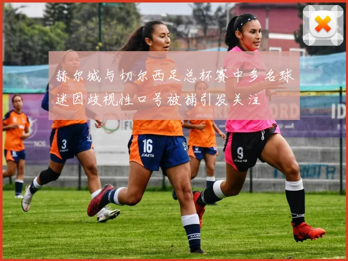 赫尔城与切尔西足总杯赛中多名球迷因歧视性口号被捕引发关注