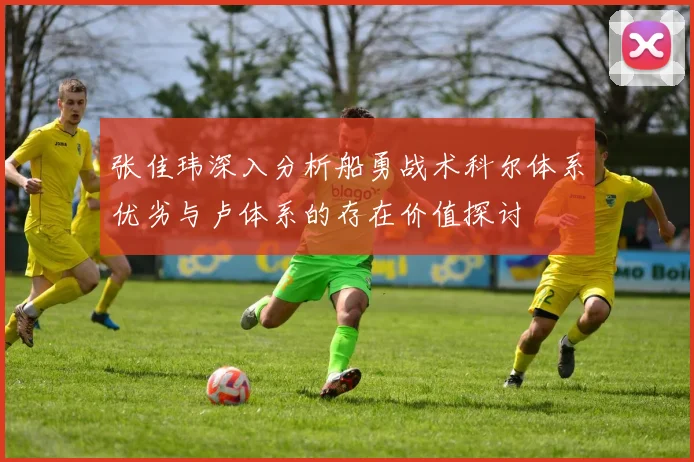 张佳玮深入分析船勇战术科尔体系优劣与卢体系的存在价值探讨